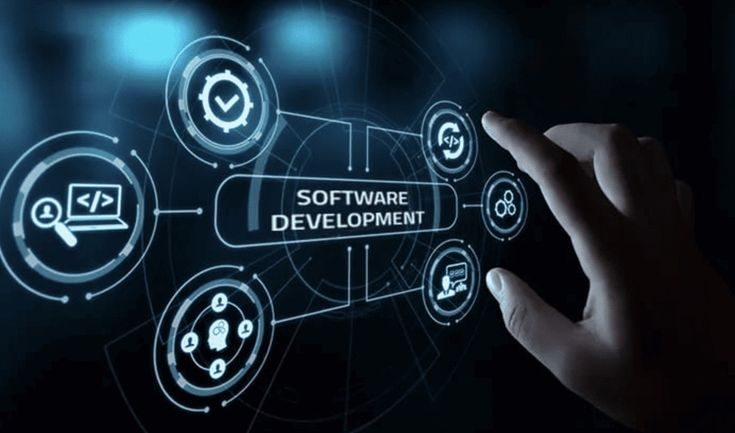 The Role of Custom Software for Business Needs